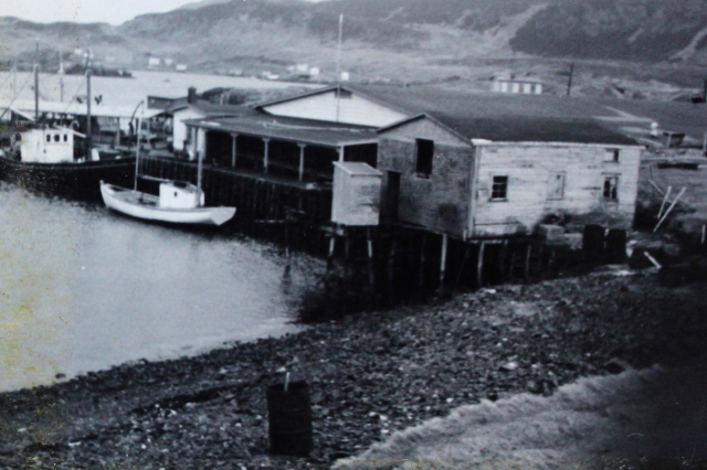 The Big Merasheen Fish Plant, wharf and Cod Liver Oil Factory in 1965.&amp;nbsp; From John Pitcher: "My father Lar Pitcher worked for a time at the factory and he always offered me a little ladle full of warm cod oil when I went to visit.&amp;nbsp; He told me of his voyages North with a crew of Norwegian whalers when he was only in his early teens and worked in the whale factory rendering out whale oil in Battle Harbour in 1930.&amp;nbsp; He continued fishing in Merasheen long after the re-settlement because he loved fishing.&amp;nbsp; He retired from fishing at 68 years of age and died a few days just before his 79th&amp;nbsp;birthday (RIP).&amp;nbsp;&amp;nbsp;Note:&amp;nbsp;The Pomroy’s famous skiff at the wharf and it is well known in Merasheen and was displayed on a set of Merasheen laminated place mats.&amp;nbsp; The skiff is also etched in stone on the Memorial Plaque /Monument at the Cross Roads in Merasheen.